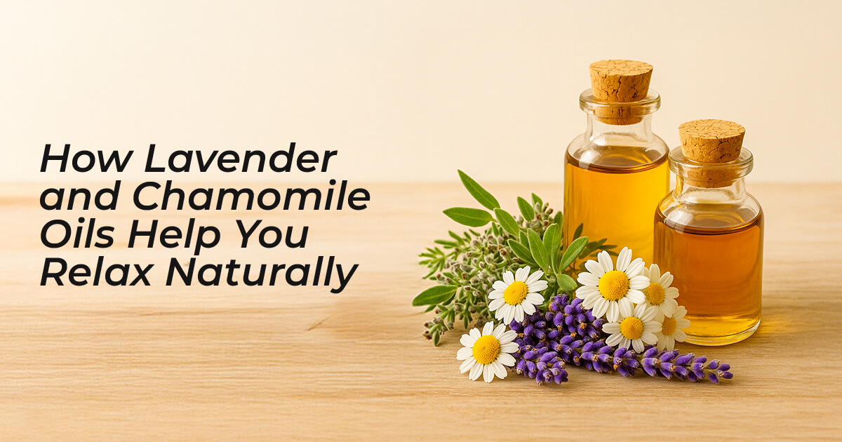 MERI-DSG-484_Blog 2_OG Image Size- 1200 X 630 px(1)